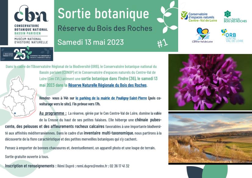 RNR Bois des Roches (36)
