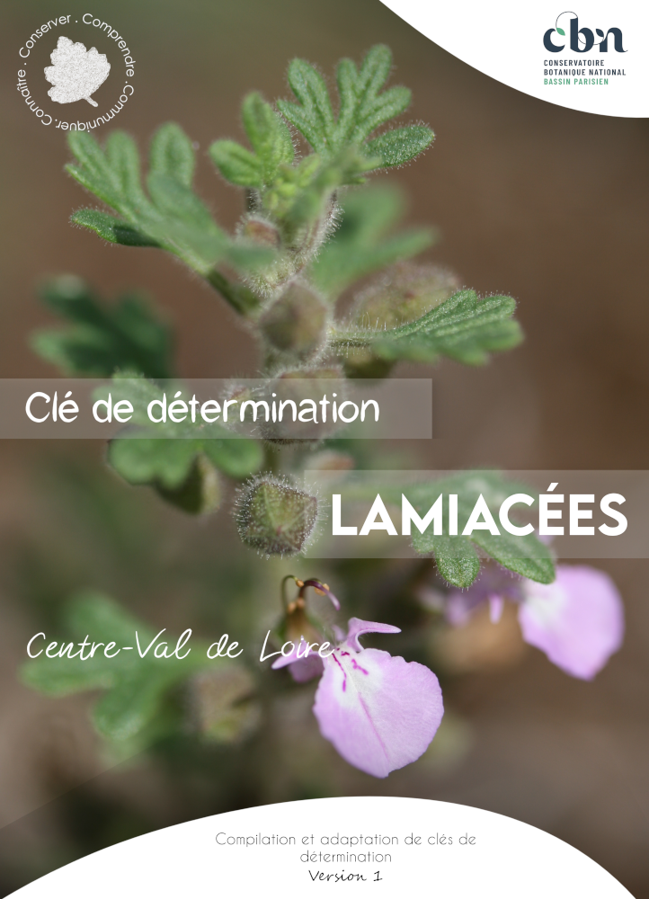 Couverture de la clé des Lamiacées du Centre-Val de Loire