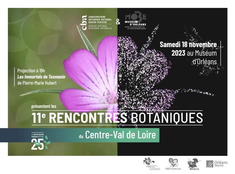 Rencontres botaniques du Centre-Val de Loire