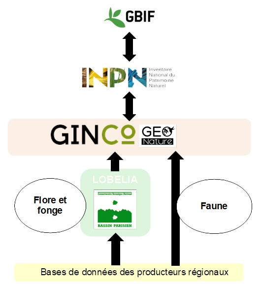 Flux des données du SINP