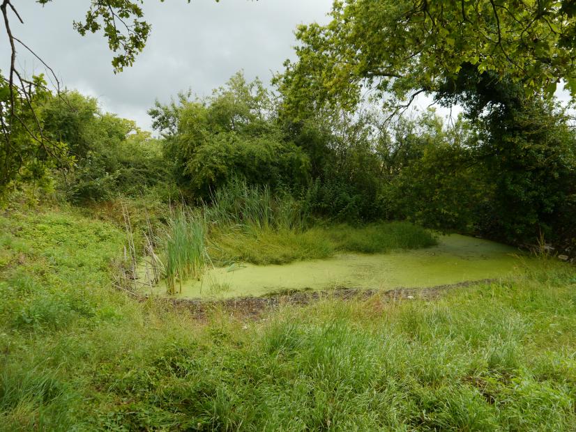 Mare Saint-Sylvain à La Celle © B. Virely - ARB CVL