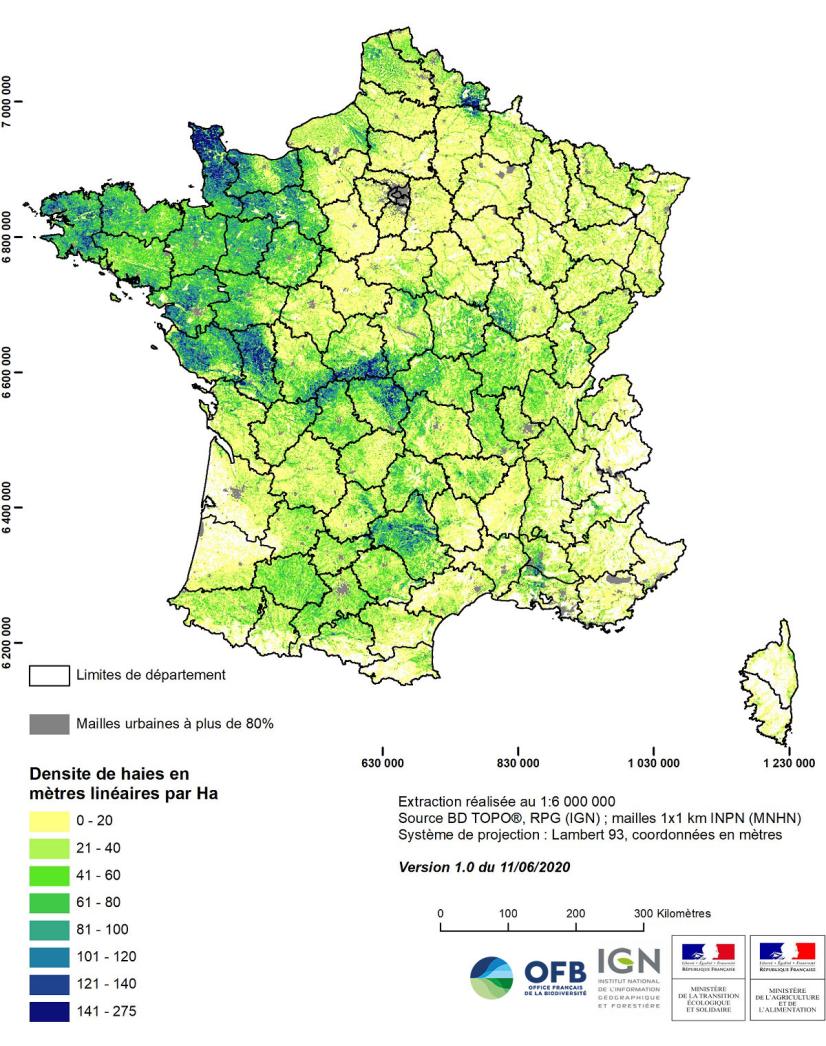 Carte de densité des haies en France métropolitaine (source Dispositif national de suivi des bocages IGN/OFB, données 2020)