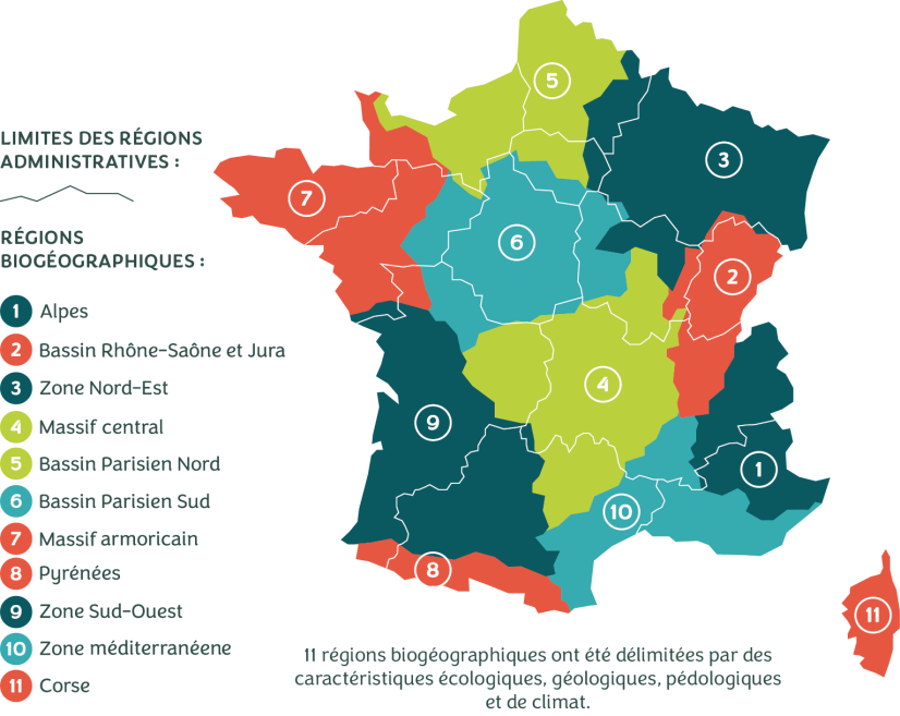 Carte des régions biogéographiques de la marque Végétal local