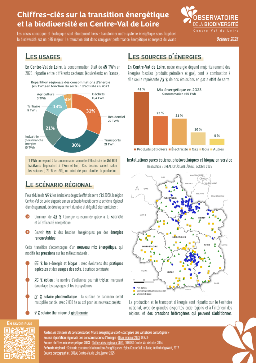 Cliquez pour agrandir