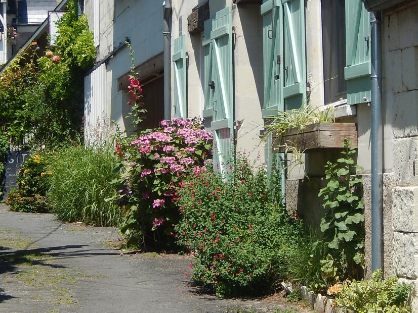 Pieds de mur végétalisés à Chouzé-sur-Loire © P. Larmande
