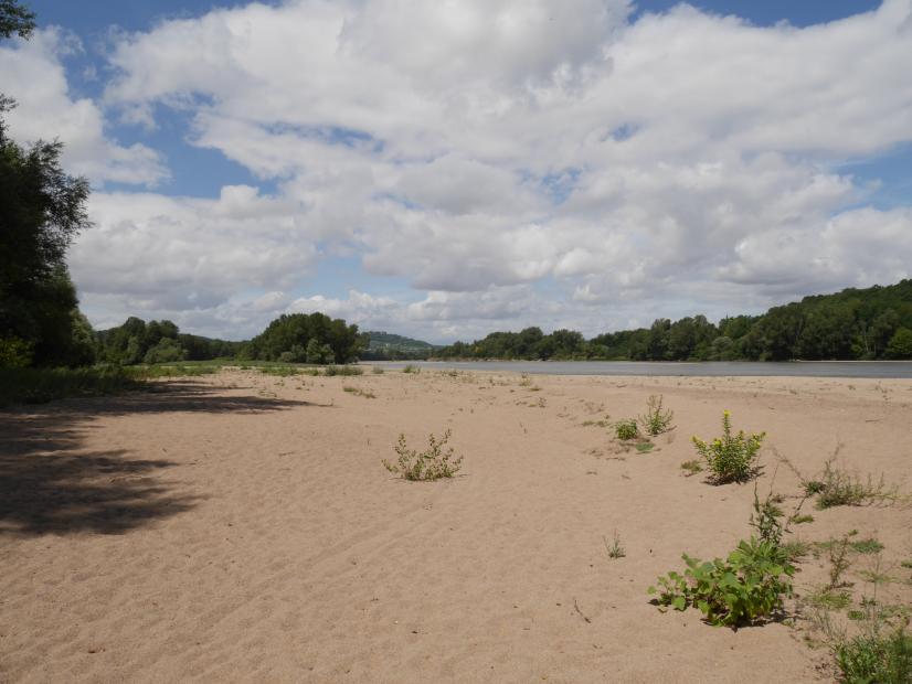 Iles de la Gargaude (18) ©F. Winckler, Cen Centre-Val de Loire