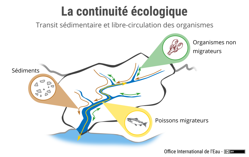 ©Office international de l'eau (cliquez pour agrandir)