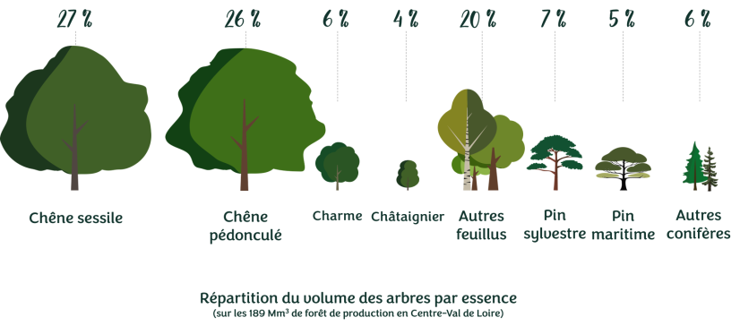 ©Observatoire de la biodiversité, 2024 - données de l'IGN , inventaire 2019-2023