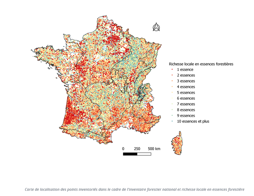 Richesse locale en essences forestières ©IGN, inventaire 2013-2017 - cliquez pour accéder