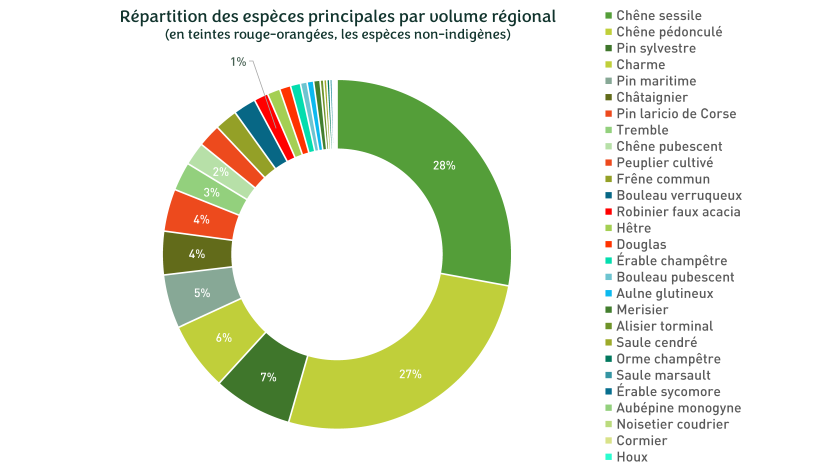 ©Observatoire de la biodiversité, 2025 - Inventaire IFN 2019-2023 - Cliquez pour agrandir