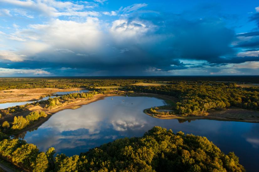 Étangs des Ardennes en Brenne ©Nicolas Van Ingen