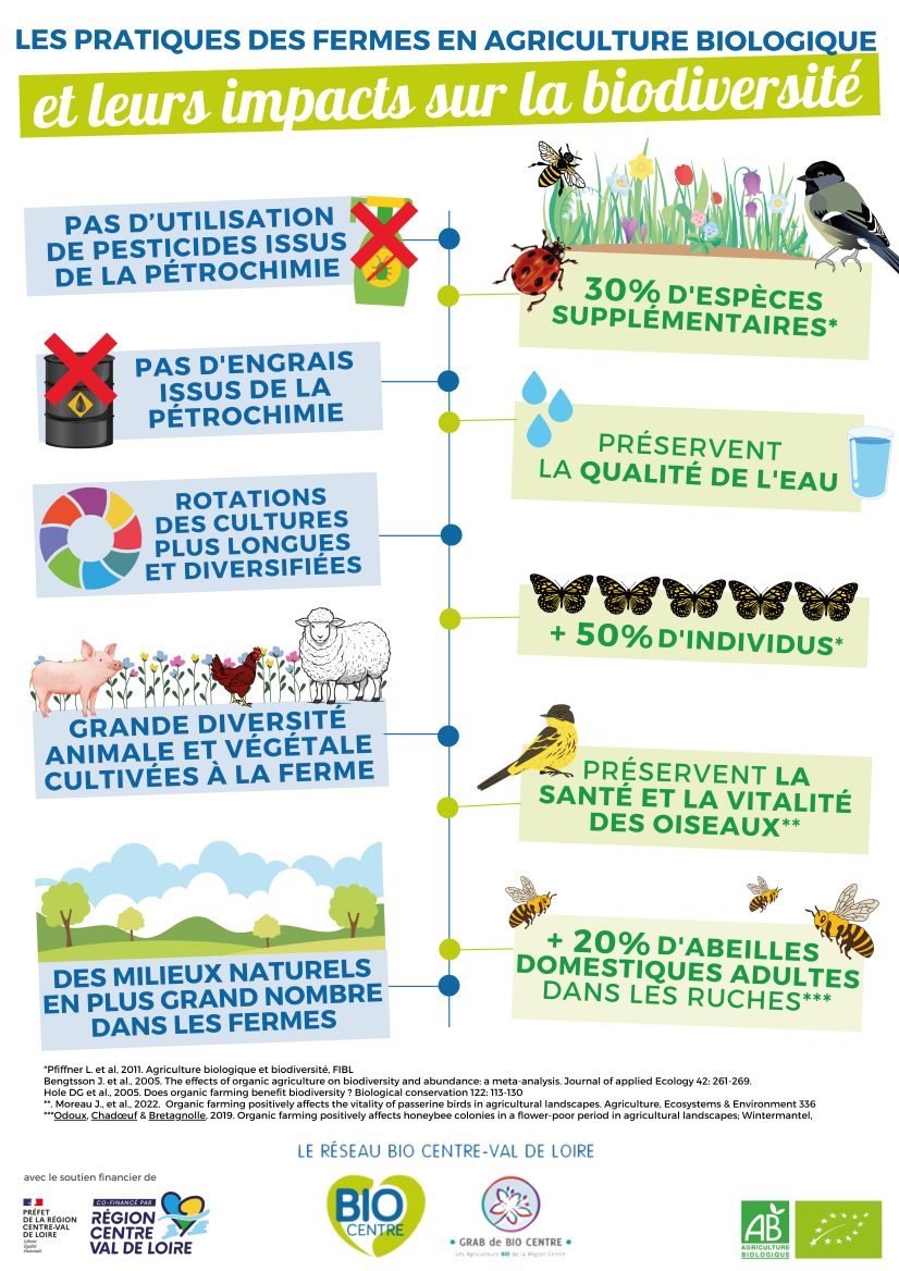 Cliquez pour agrandir
