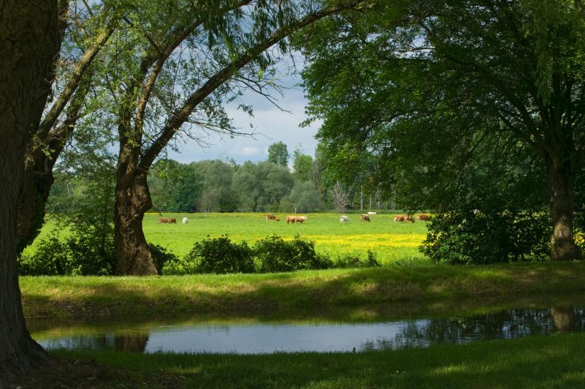 L'agriculture peut aussi être source de milieux préservés où activités humaines et espaces naturels s'accordent ©N. Van Ingen