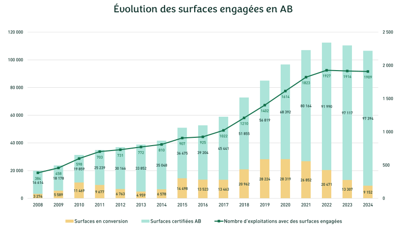 Cliquez pour agrandir - Observatoire, 2025