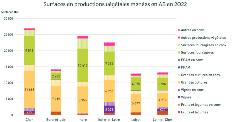 Cliquez pour agrandir