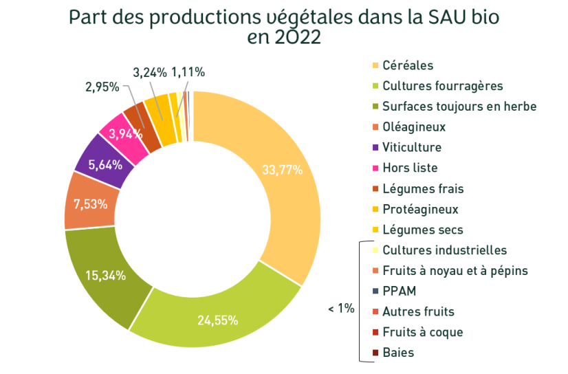 Cliquez pour agrandir