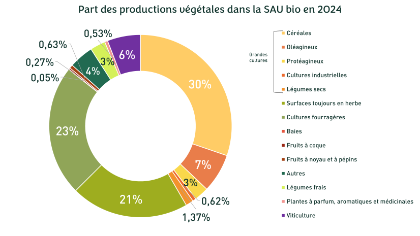Cliquez pour agrandir - Observatoire, 2025
