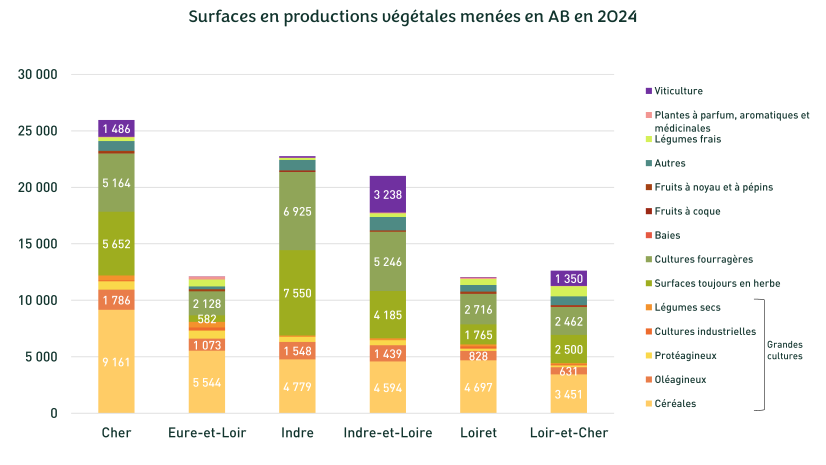 Cliquez pour agrandir - Observatoire, 2025