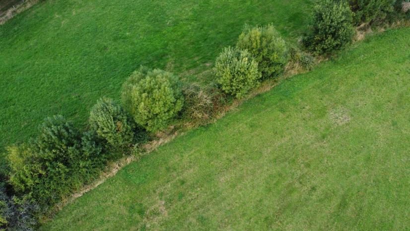 Linéaire de haies aux prairies du Fouzon ©A. Méheust