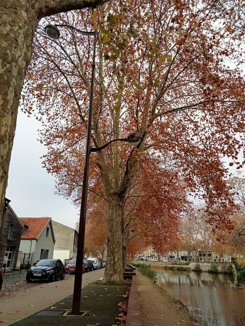 Luminaires choisis et orientés pour les bords de l'Auron © Bourges Plus