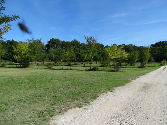 Parking végétal © B. Virely ARB CVL