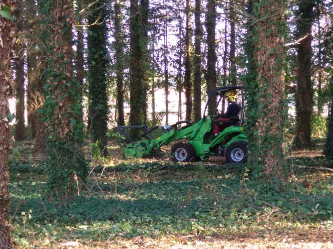 Broyage des rémanents de gestion et du bois mort pour limiter la quantité de combustible au sol