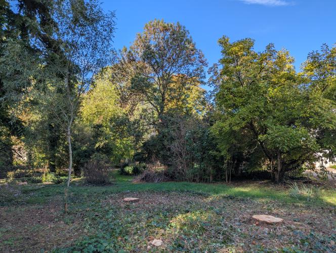 Il est possible de conserver des îlots de biodiversité de 150 m² maximum, pour un total de 10% de la zone concernée