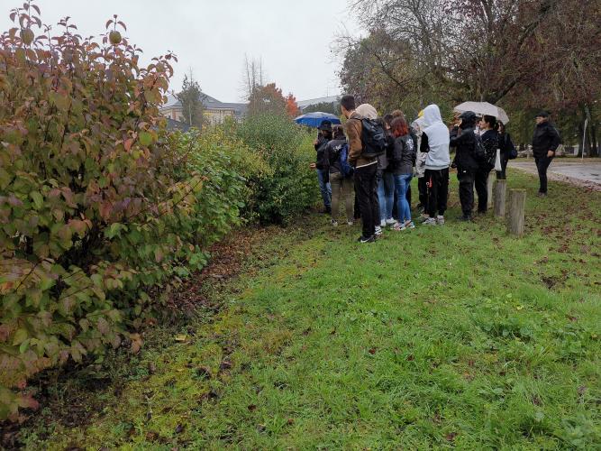 Atelier présentation de la haie champêtre ©ARB