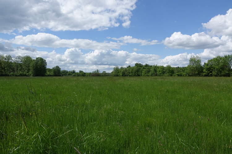 Les prairies du Fouzon © M. Poiré, ARB