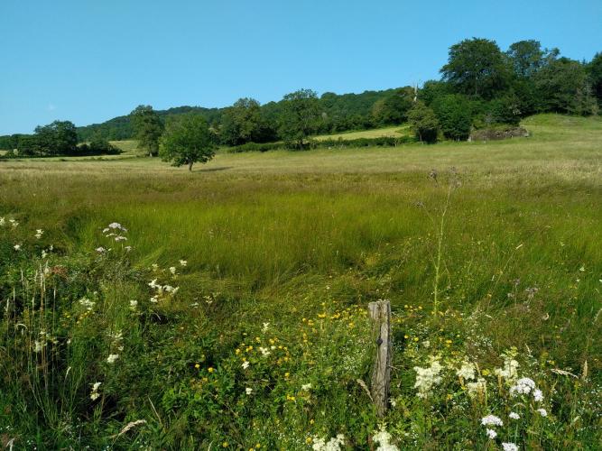 ORE au Marais de Boussac @ Fédération des Cen