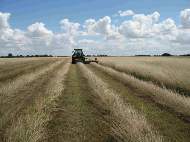 Prairie de fauche, plateau de Chabris ©L. Riollet