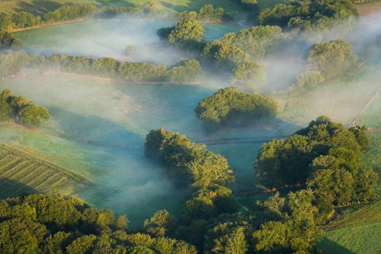 Bocage dans la brume Saint-Plantaire ©N. Van Ingen