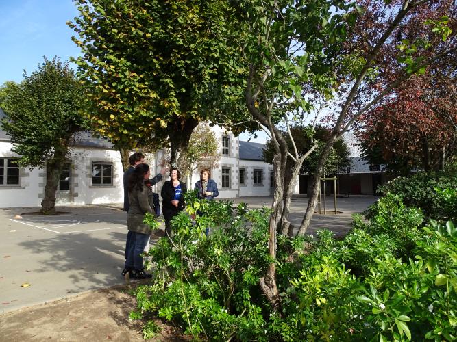 Enrobé perméable (Terraway) et préau avec matériaux biosourcés et insonorisants à l'école du Poutyl à Olivet © ARB-CVL