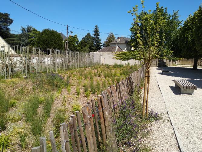 Noue végétalisée dans la cour de l'école élémentaire du Poutyl à Olivet (45) © ARB-CVL
