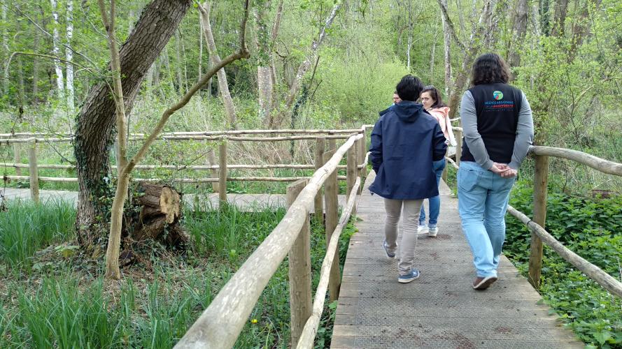 La zone humide aménagée à Mesland © ARB Centre-Val de Loire