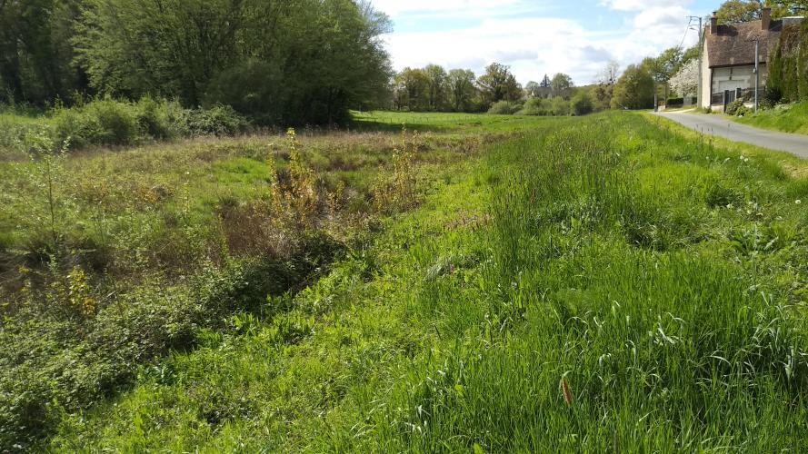 La Petite Cisse à Mesland © ARB Centre-Val de Loire