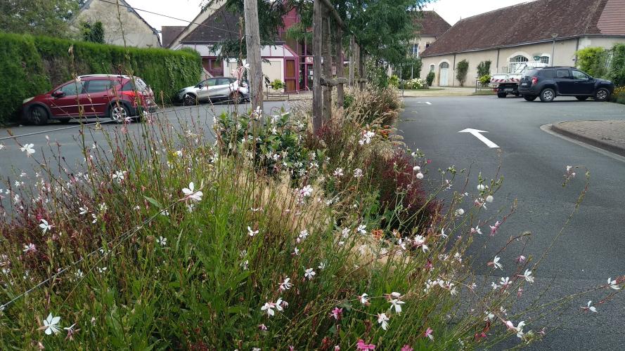 Buzançais, le 12 juillet 2024 ©ARB Centre-Val de Loire