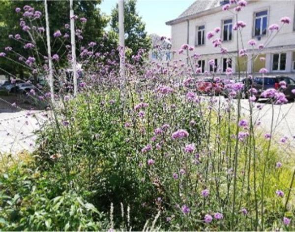 Buzançais © mairie de Buzançais
