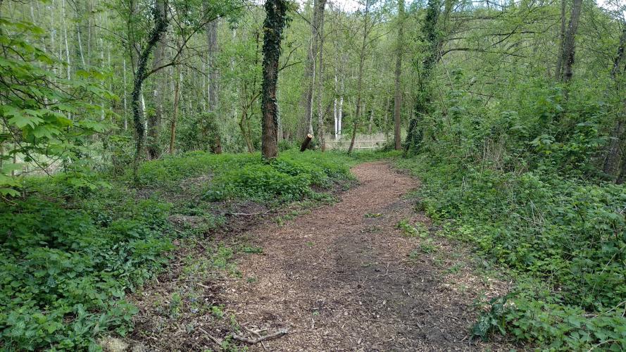La zone humide aménagée à Mesland © ARB Centre-Val de Loire