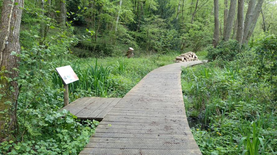 La zone humide aménagée à Mesland © ARB Centre-Val de Loire