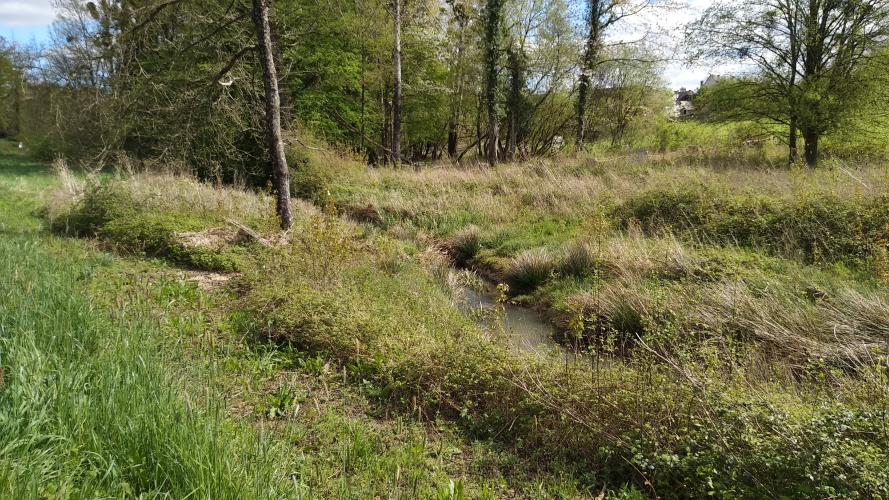 La Petite Cisse à Mesland © ARB Centre-Val de Loire
