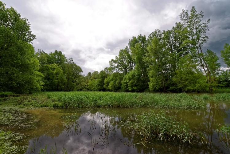 Rives de l'Ousson © François Hergott