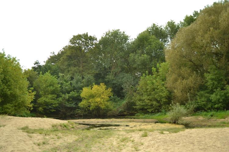 Île Gaston © Isabelle Richardeau