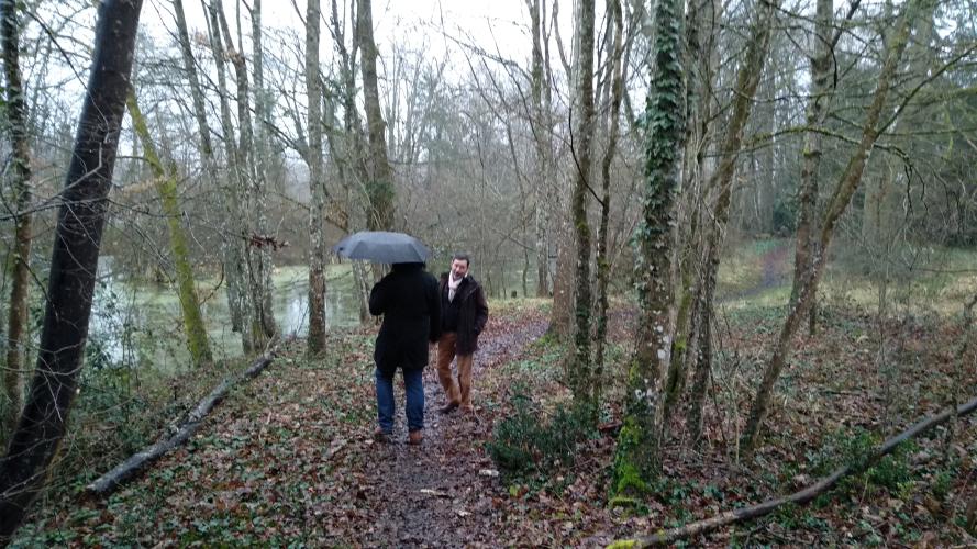 Ilot de fraicheur en ville ©ARB Centre-Val de Loire