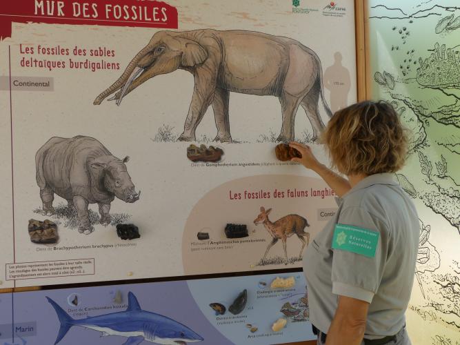 Panneau pédagogique à Pontelvoy