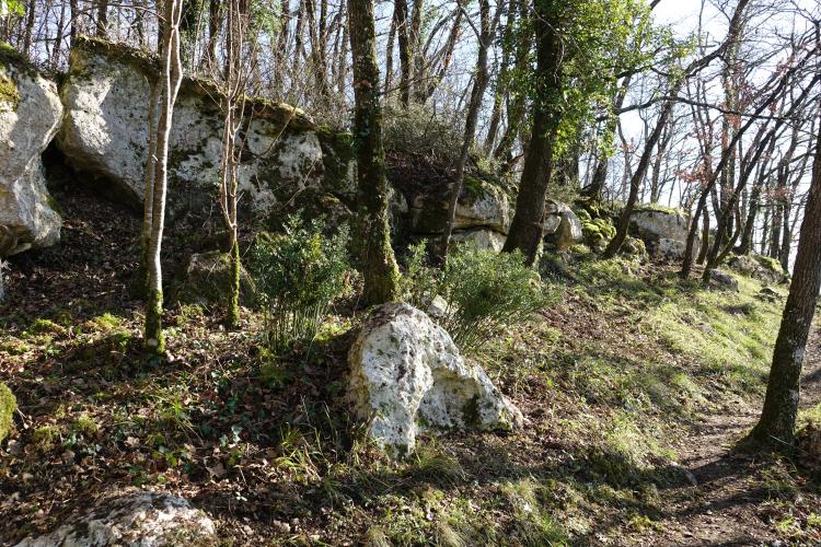 Bois des Roches au printemps @ Michel Prévost