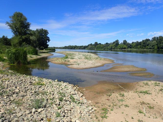 Vallée de la Loire © CBNBP - Anne-Hélène Paradis