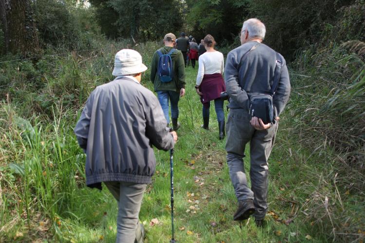 Groupe en direction du marais - Julien MONDION (CBNBP)