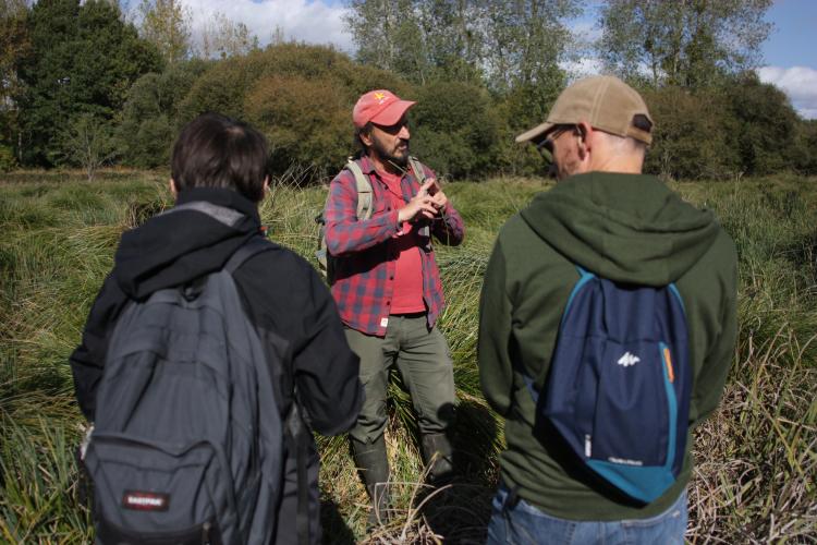 Explications botaniques par Rémi - Julien MONDION (CBNBP)