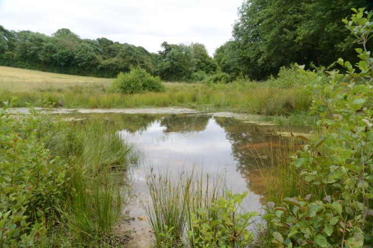 Mare agricole ©Eure-et-Loir Nature